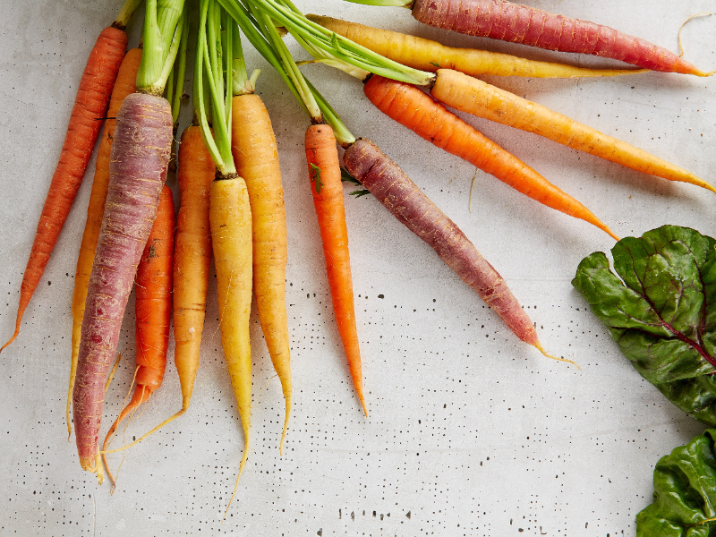 Fresh Colorful Carrots